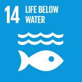 SDG: เป้าหมายที่ 14 : การใช้ประโยชน์จากมหาสมุทรและทรัพยากรทางทะเล (อนุรักษ์และใช้ประโยชน์จากมหาสมุทร ทะเลและทรัพยากรทางทะเลอย่างยั่งยืนเพื่อการพัฒนาที่ยั่งยืน)